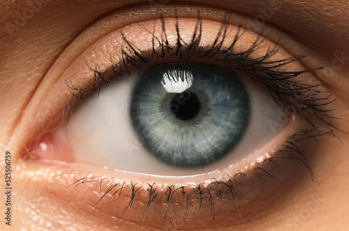 Closeup view of woman with beautiful eye