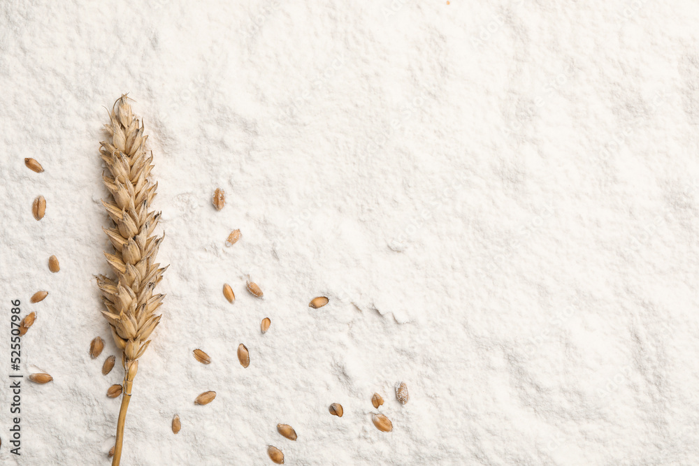 Wheat grains and spike on flour, flat lay. Space for text Wheat grains and spike on flour, flat lay. Space for text