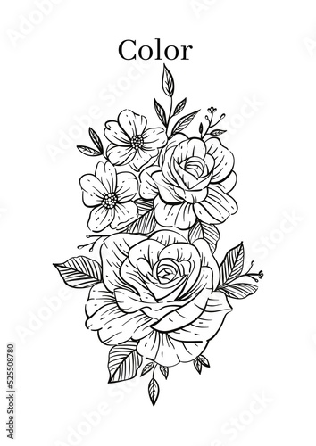 High Resolution Printable Colouring Worksheets for Kindergarten and Preschool Kids, Drawing Practise A4 Printable Designs.