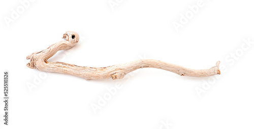 Wooden curved snag stick isolated on white, top view