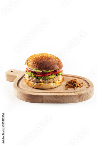 burger on white background