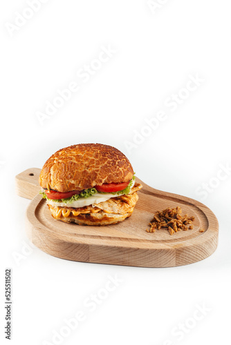 burger on white background