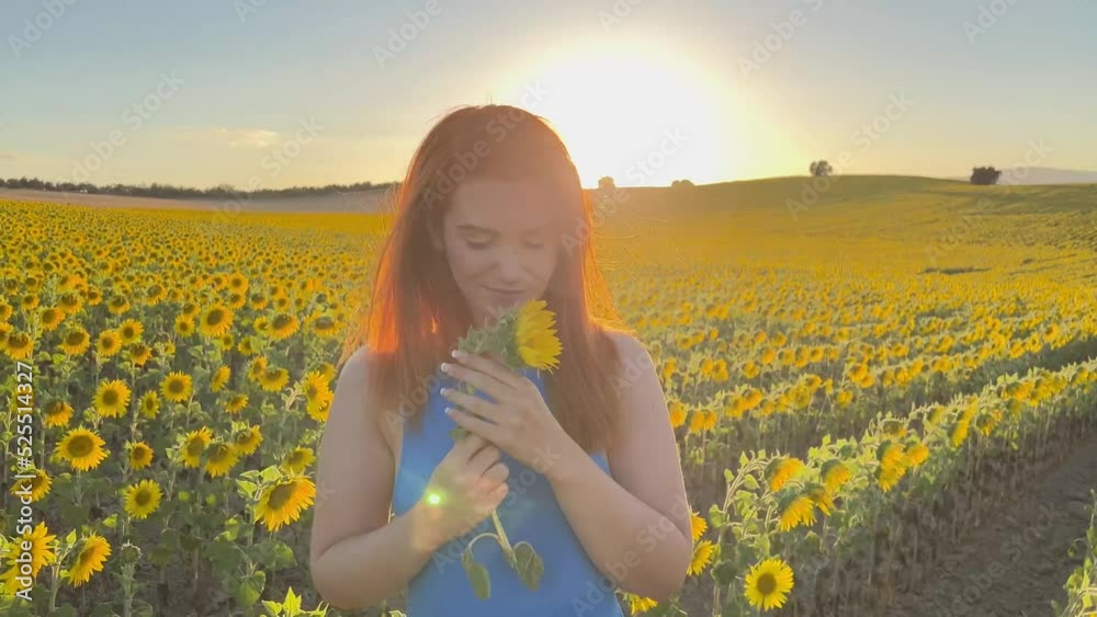 Cheerful young female offering sunflower to camera then smiling and examining flower while spending time in field at sunset Cheerful young female offering sunflower to camera then smiling and examining flower while spending time in field at sunset