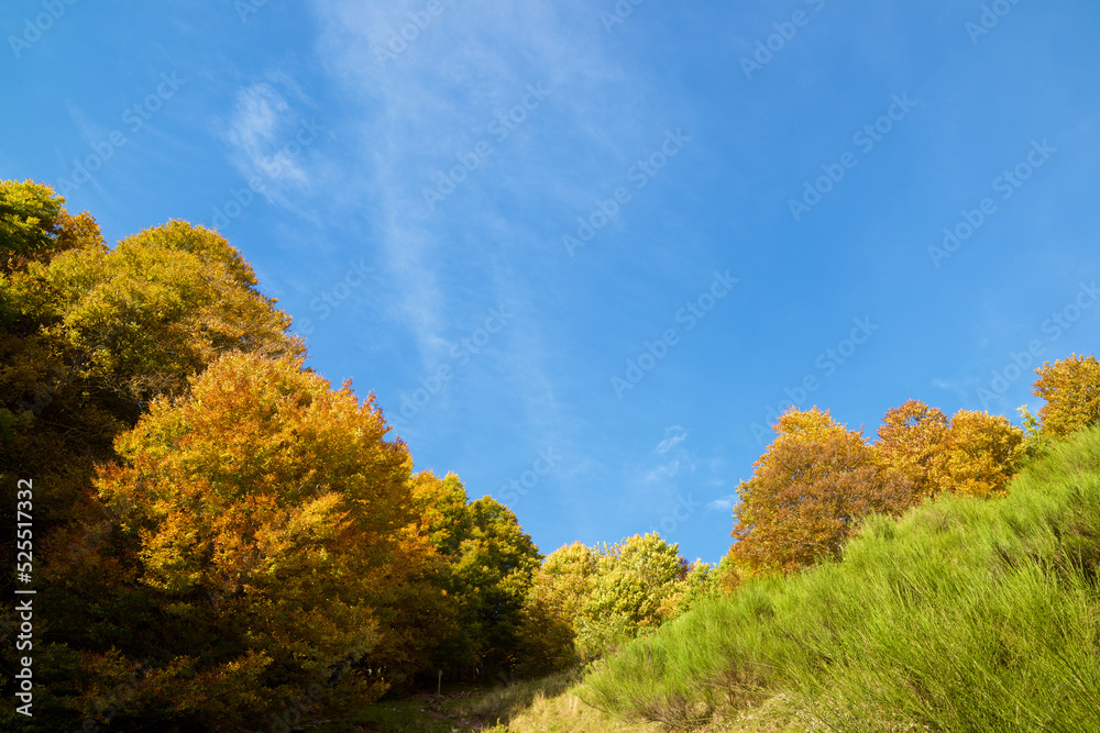 Fototapeta premium Autumn in the Pyrenees