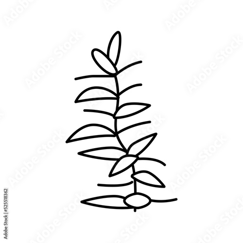 hydrophilia polyspermy line icon vector illustration