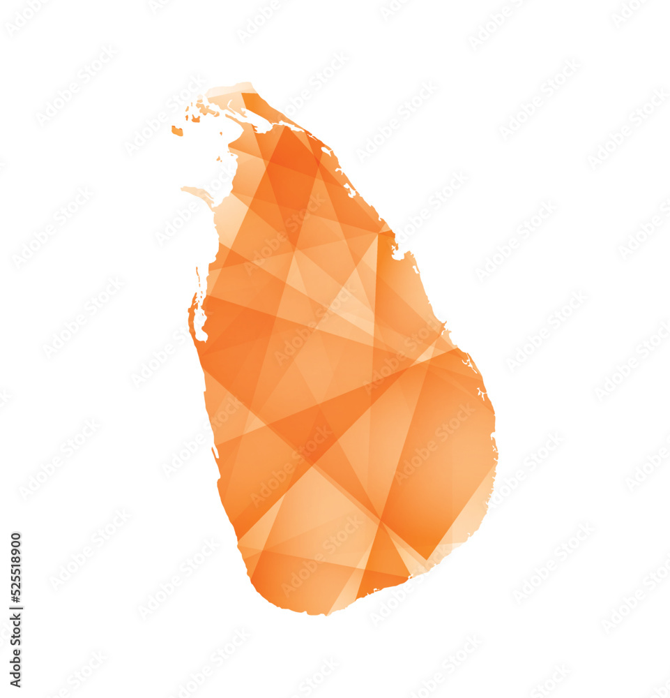 vector illustration of Sri Lanka map with orange colored geometric shapes vector illustration of Sri Lanka map with orange colored geometric shapes