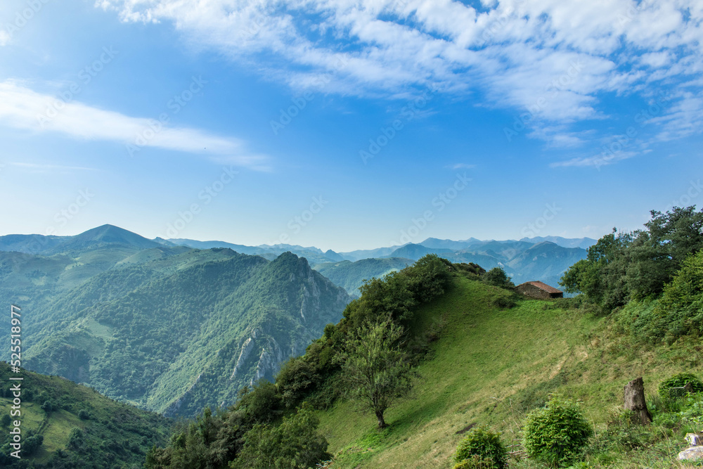 Naklejka premium La naturaleza desde la montaña 