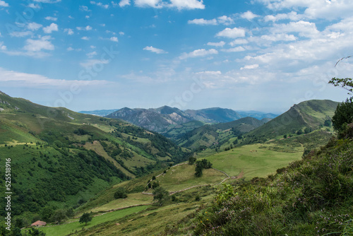 Verde de montes 