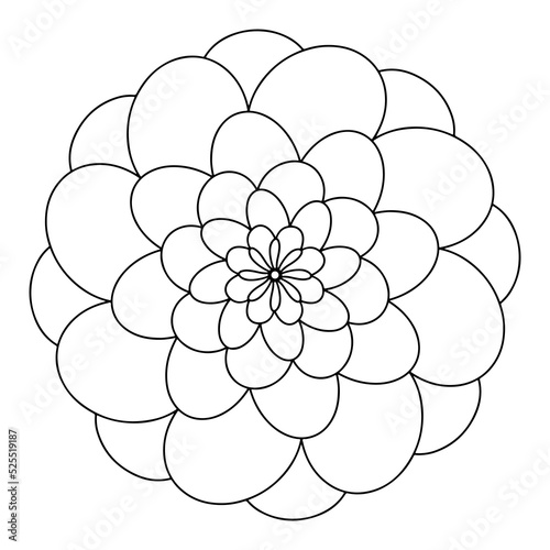 Floral, hand drawn aster mandala flowers in doodle style isolated on white background. Сoloring page for adult and kids, decorating kids playroom or greeting card. Chrysanthemum, Lotus.