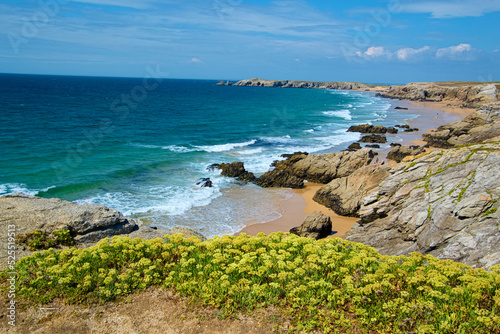 Presqu'île de Quiberon - Côte sauvage - Bretagne - France