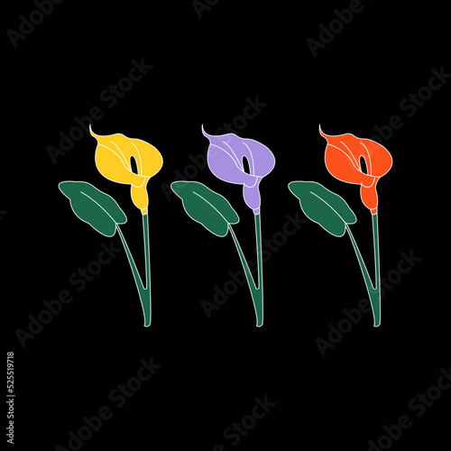 Vector illustration of three colorful calla flowers in yellow, purple and red on a black background