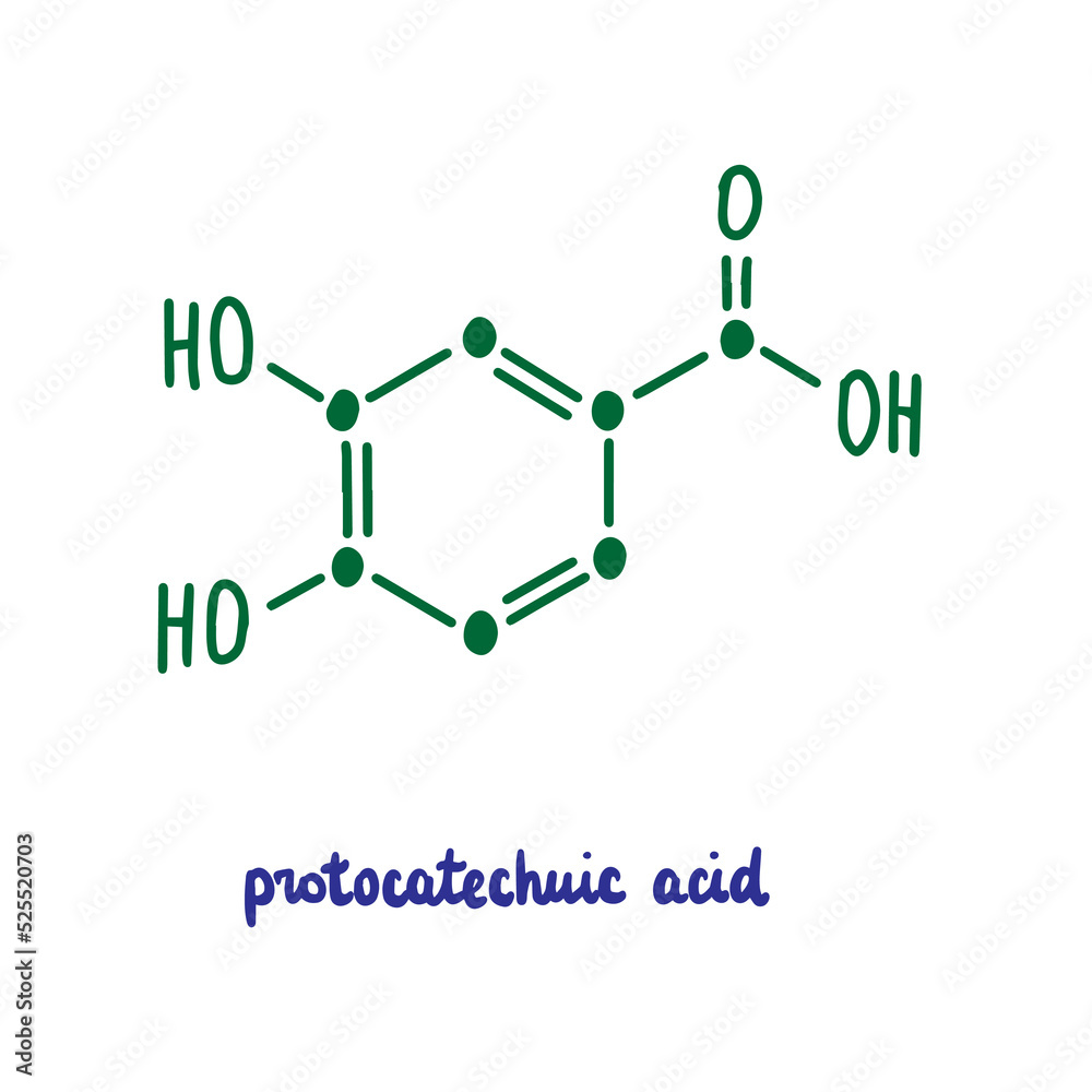 Protocatechuic acid hand drawn vector formula chemical structure lettering blue green Protocatechuic acid hand drawn vector formula chemical structure lettering blue green