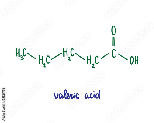 Valeric acid hand drawn vector formula chemical structure lettering blue green