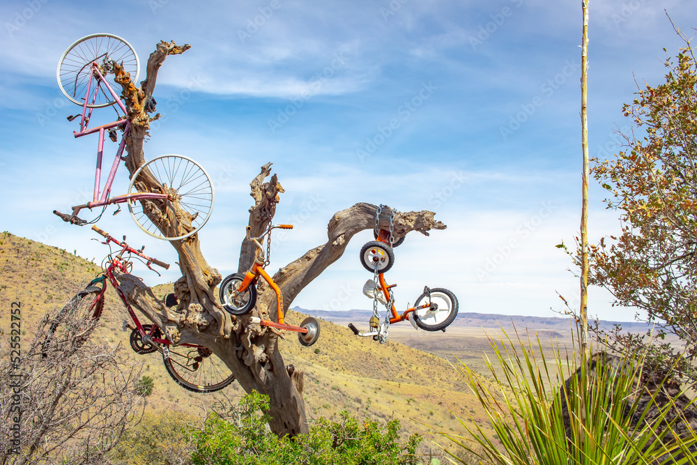 Naklejka premium Bicycles in a tree art set up in Alpine Texas mountain forest