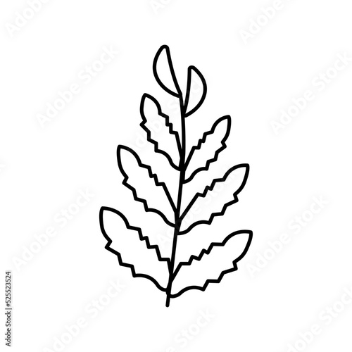 african water fern line icon vector illustration