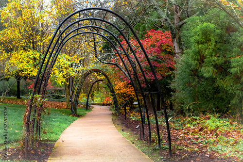 Autumn colorful foliage and fall trees at the Cheekwood Estate in Nashville Tennessee photo