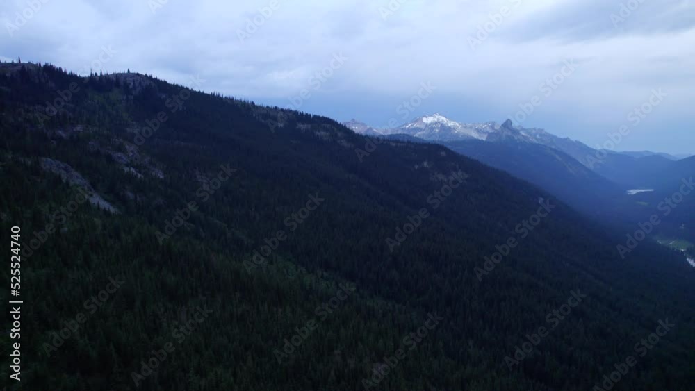 Flying over a mountain covered in lush forests of towering pine trees early in the morning in Okanogan-Wenatchee National Forest.