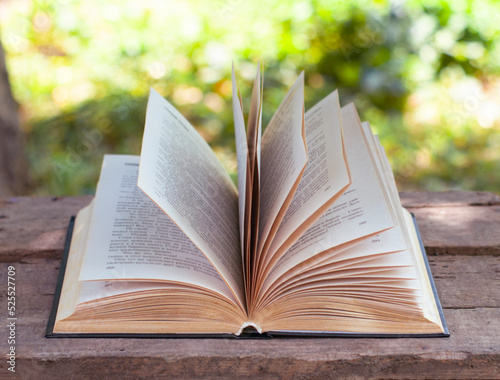 opened book on the wood table in the nature