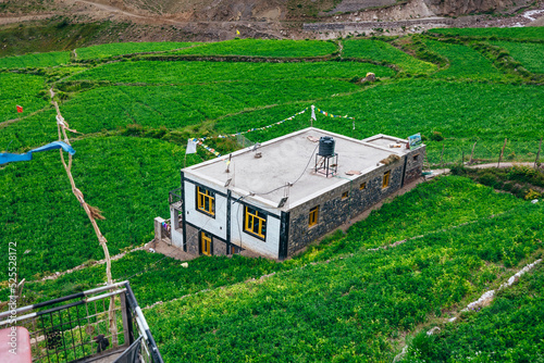 Tibetan mud home surrounded by lush green farmland in Pin Valley of Himachal Pradesh