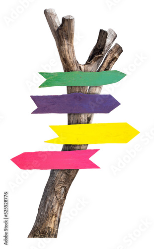 Принти на полотні Color wood sign with dried tree