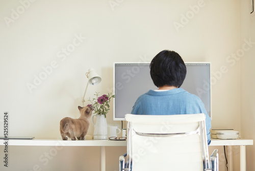 デスクでパソコンを開き仕事をする女性と子猫 photo