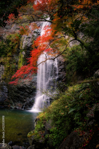 minoh waterfall in autumn photo