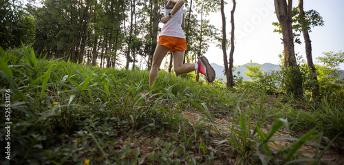 Photography Trail runner running in summer forest trail