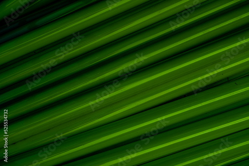 Abstract green stripes modern textured background © Artrademotion