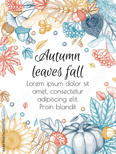 Vector autumn banner template in engraving style. Graphic linear oak leaf, acorns, berries, maple leaves, ginkgo, chestnut, physalis, rowan, sunflower, pumpkin