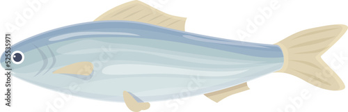 Tuna icon cartoon vector. Baltic fish. Sea food