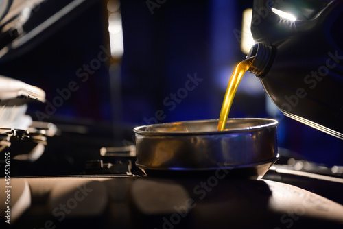Auto mechanic pours car engine oil into the engine room. oil change at a repair shop or an interior car care center