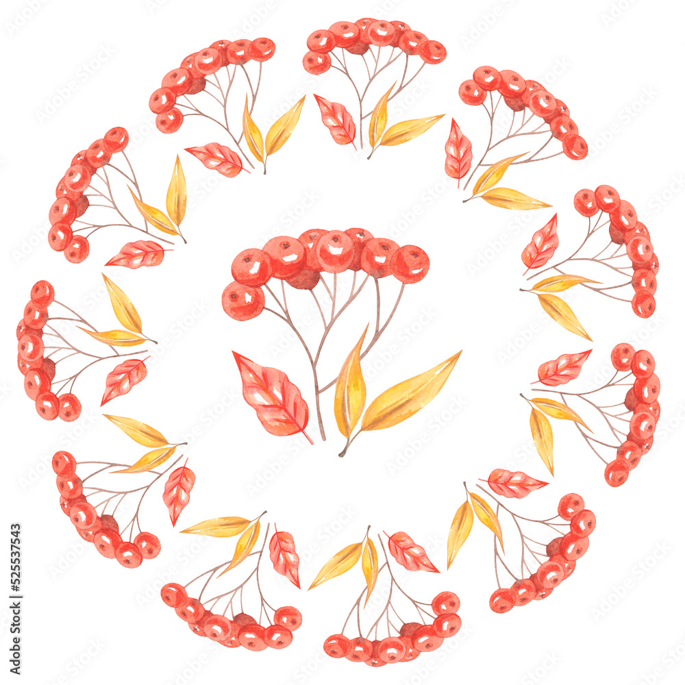 Watercolor autumn rowan wreath Red berries. High quality photo