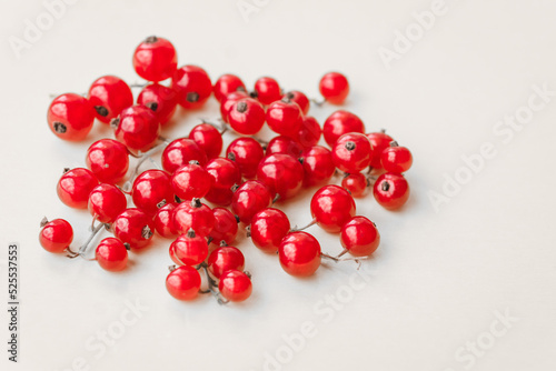 Sprigs of red currant on white background. Fresh bright currant. Sweet juicy currant, organic berries harvest - healthy eating and food concept.