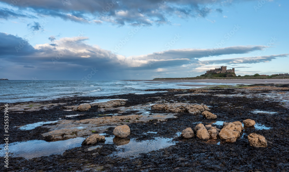 Fototapeta premium Bamburgh Castle from Harkness Rocks dusk