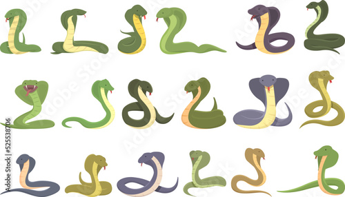 King cobra icons set cartoon vector. Snake animal. Head agression