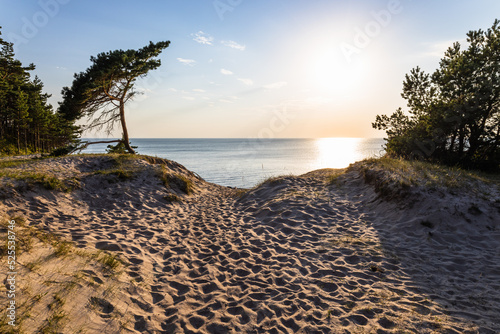 Fototapeta Naklejka Na Ścianę i Meble -  Sand dunes against the sunset light on the Baltic sea beach