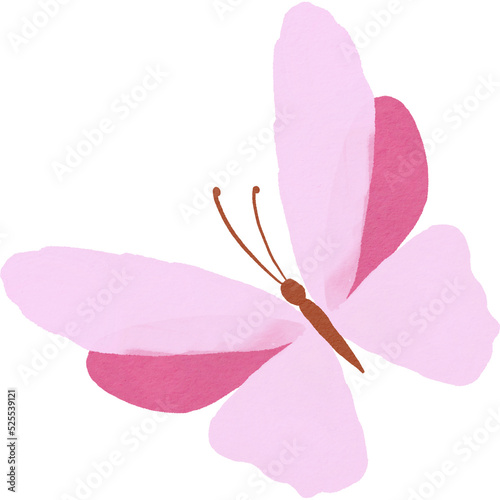 butterfly