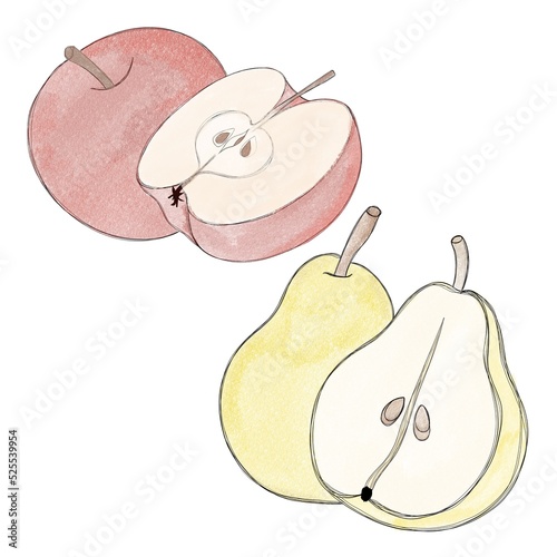 freehand watercolor set of fruits - juicy red apple and ripe pear