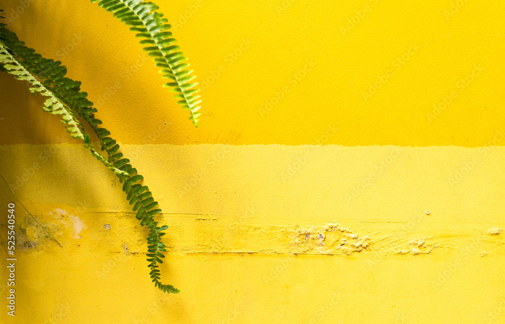 Yellow background, damaged wall, energetic colors, summer texture.