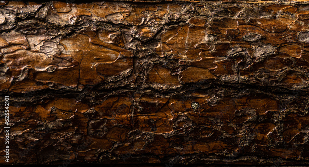 Drewniane tło z desek, ciemne drewno, naturalna tekstura starego drzewa. - obrazy, fototapety, plakaty 
