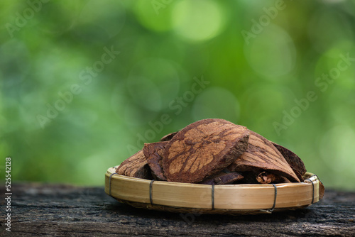 Bauhinia sirindhorniae woods on nature background. photo