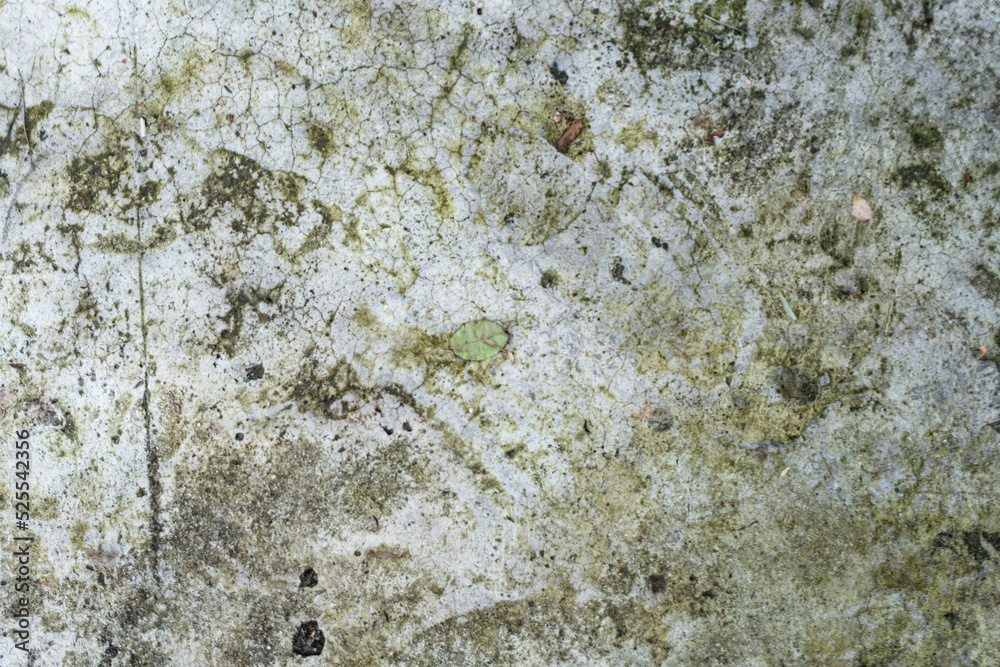 White-gray wall, dirty background, damaged texture.