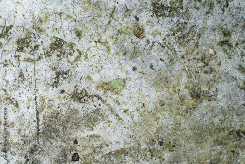Obraz na płótnie White-gray wall, dirty background, damaged texture. w salonie