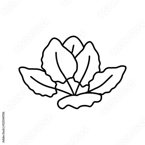 tiger lotus line icon vector illustration