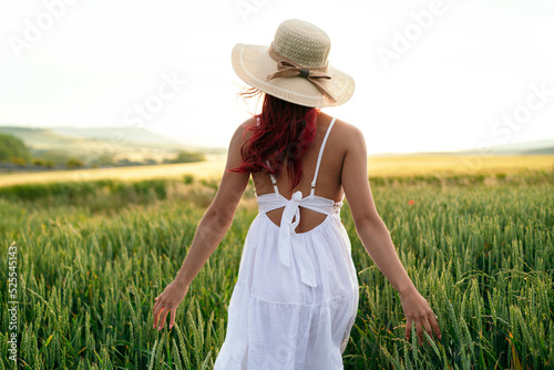 Anonymous gentle woman touching wheat spikes on farmland photo