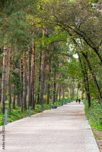 Obraz na płótnie Walking along the alley among the mixed trees in the park of Almaty w salonie