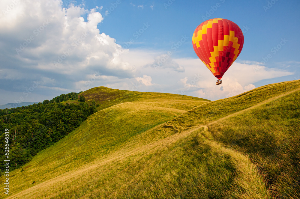 Naklejka premium A path winds along a grassy slope in the Carpathian Mountains, Ukraine