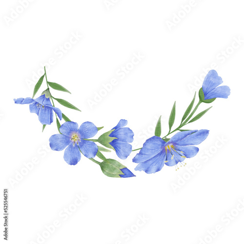 Blue flowers watercolor flax illustration.