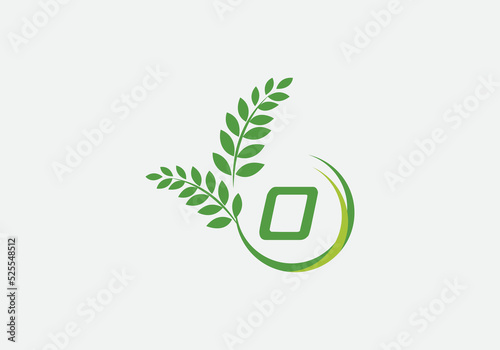 Green leaf and laurel wreath logo design vector with the letter and alphabet O