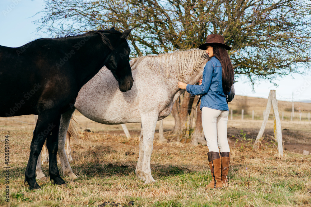 Woman stroking beautiful chestnut horses Woman stroking beautiful chestnut horses